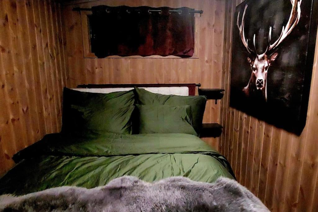 Cabin Aurora Borealis Sommarøy Exterior foto